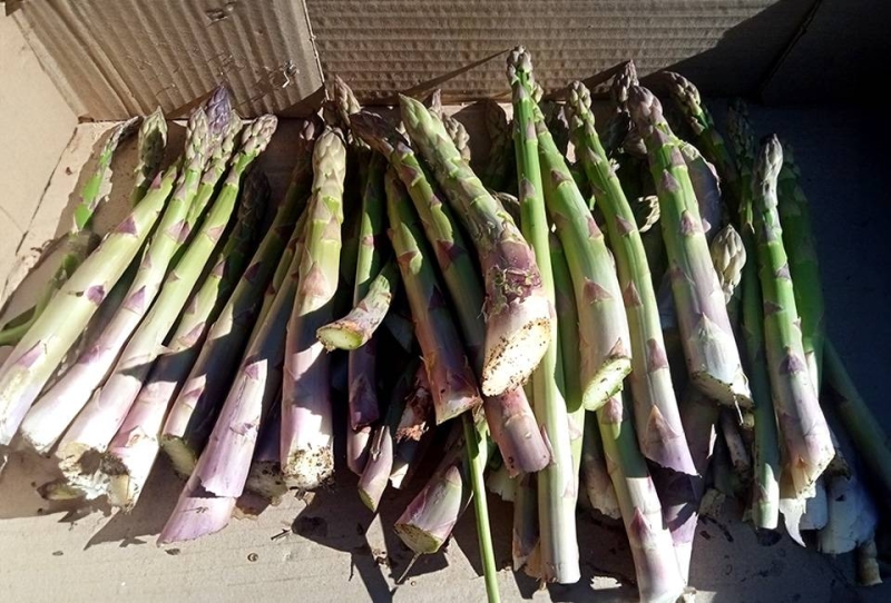 Relais Du Pont - Restaurant Beauvene - restaurant BEAUVENE